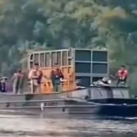 Translocation of Javan Rhino Kendaraan Amfibi untuk Translokasi Badak Jawa