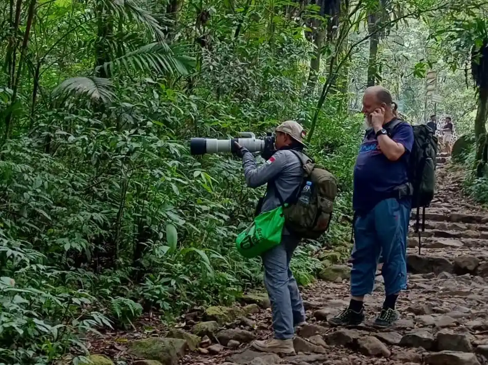 Gunung Gede Birding Tour Gunung Gede Birding Tour