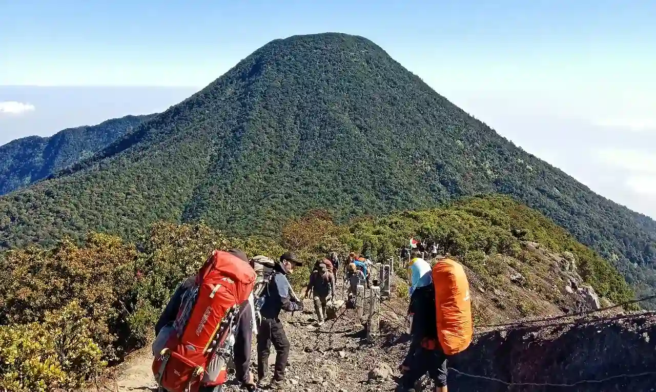 Image Gunung Gede Birding Tour 3 Days 2 Night Gunung Gede Pangrango National Park