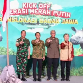 Ministry of Forestry to translocate Javan rhinos Ministry of Forestry to translocate Javan rhinos
