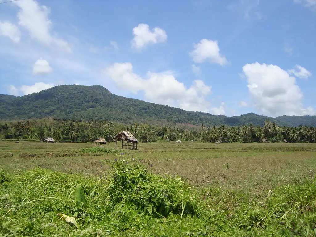 Image Gunung Honje gunung honje