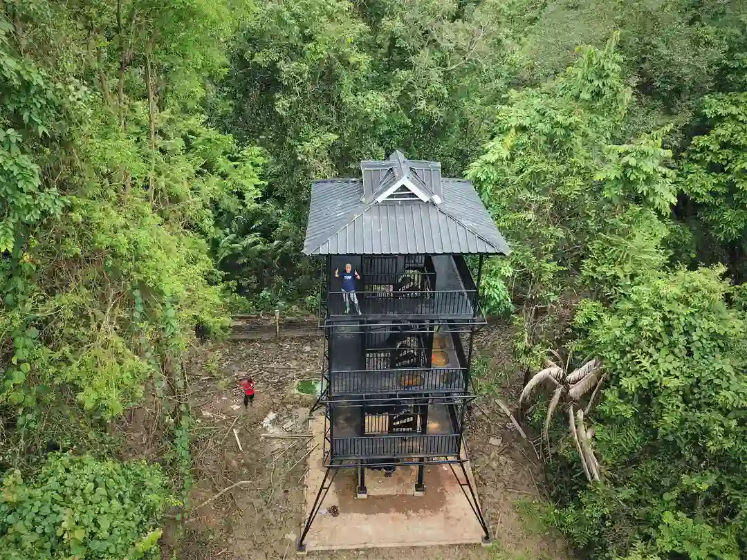 Image Translocation of Javan Rhino observation tower jrsca ujung kulon