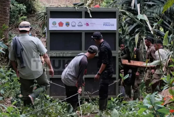 Image The Javan Rhino Musofa Died, Here's the Cause of Death retrieval of the rhino transport crate 04 11 2025 image